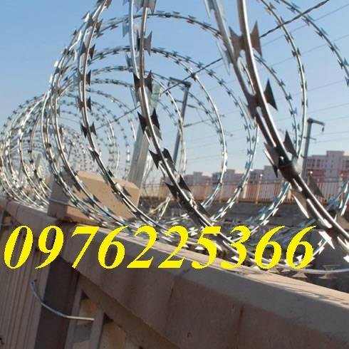 Đại lý dây thép gai hình dao,dây kẽm gai lưới dao tại Hà Nội